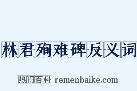 林君殉难碑反义词是什么意思的图片